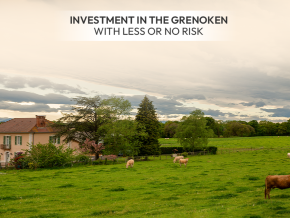 Investment in The Grenoken with Less or No Risks