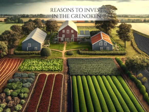 5 Reasons to Invest in The Grenoken