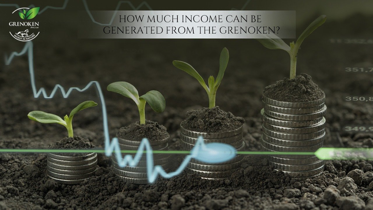grenoken income generating model